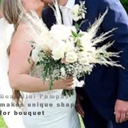 bride and groom w pampas2 w words